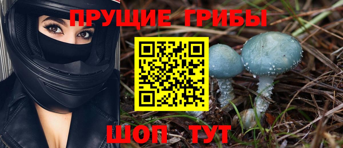 Балашиха  Галлюциногенные грибы Psilocybe  Псилоцибиновые грибы MAGIC MUSHROOMS  Вход с VPN 