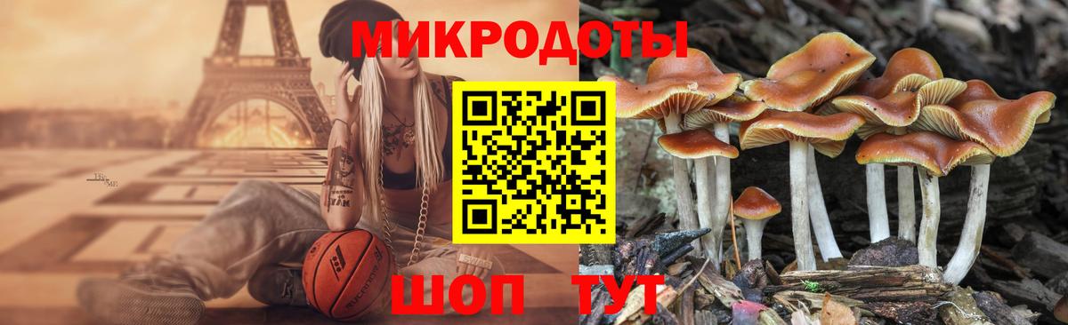 Галлюциногенные грибы мицелий Балашиха
